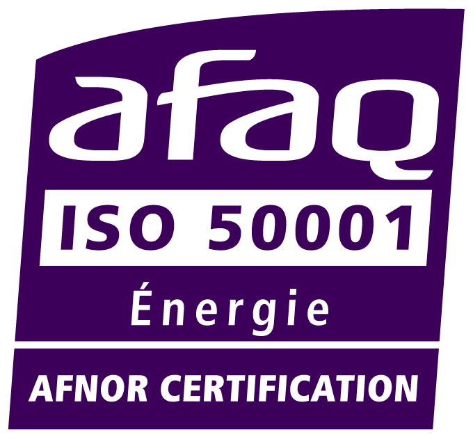 Snefcca logo
