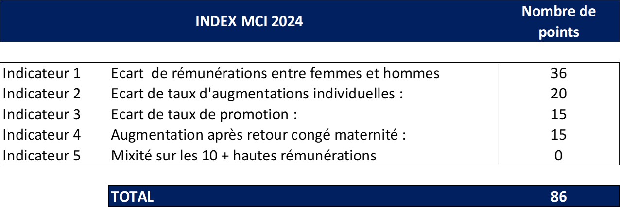 indexmci2024.jpeg